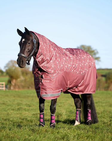 LeMieux Spiced Earth Arika Star Turnout Rug 0g Spiced Earth| Online For Equine