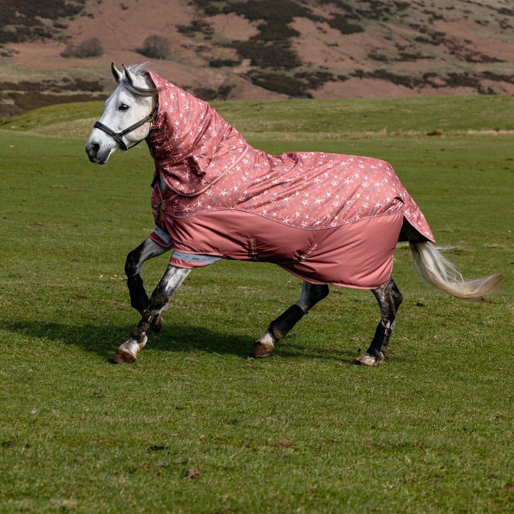 LeMieux Spiced Earth Arika Star Turnout Rug 0g Spiced Earth| Online For Equine