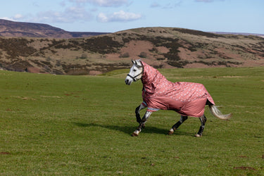 LeMieux Spiced Earth Arika Star Turnout Rug 0g Spiced Earth| Online For Equine