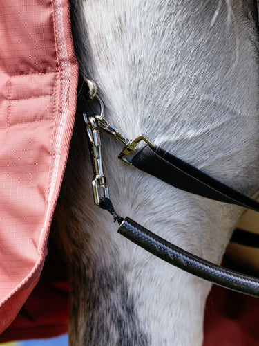 LeMieux Spiced Earth Arika Star Turnout Rug 0g Spiced Earth| Online For Equine
