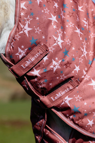 LeMieux Spiced Earth Arika Star Turnout Rug 0g Spiced Earth| Online For Equine