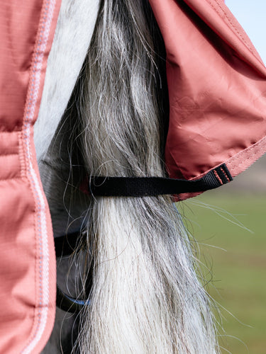 LeMieux Spiced Earth Arika Star Turnout Rug 0g Spiced Earth| Online For Equine