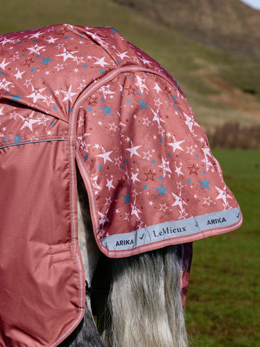 LeMieux Spiced Earth Arika Star Turnout Rug 0g Spiced Earth| Online For Equine