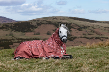 LeMieux Spiced Earth Arika Star Turnout Rug 0g Spiced Earth| Online For Equine