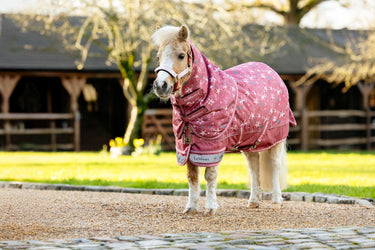 LeMieux Spiced Earth Arika Star Turnout Rug 0g Spiced Earth| Online For Equine