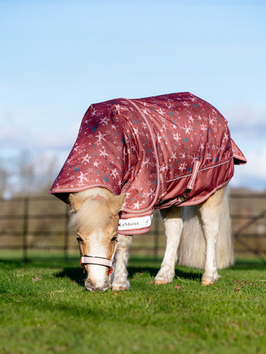 LeMieux Spiced Earth Arika Star Turnout Rug 0g Spiced Earth| Online For Equine