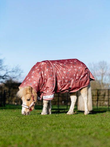 LeMieux Spiced Earth Arika Star Turnout Rug 0g Spiced Earth| Online For Equine