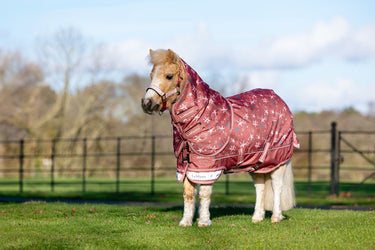 LeMieux Spiced Earth Arika Star Turnout Rug 0g Spiced Earth| Online For Equine