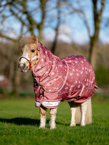 LeMieux Spiced Earth Arika Star Turnout Rug 0g Spiced Earth| Online For Equine
