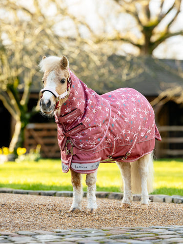 LeMieux Spiced Earth Arika Star Turnout Rug 0g Spiced Earth| Online For Equine