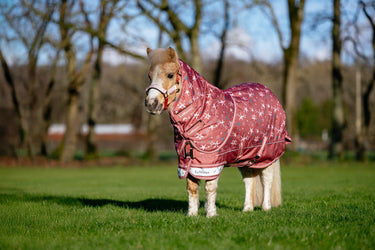 LeMieux Spiced Earth Arika Star Turnout Rug 0g Spiced Earth| Online For Equine