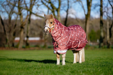 LeMieux Spiced Earth Arika Star Turnout Rug 0g Spiced Earth| Online For Equine