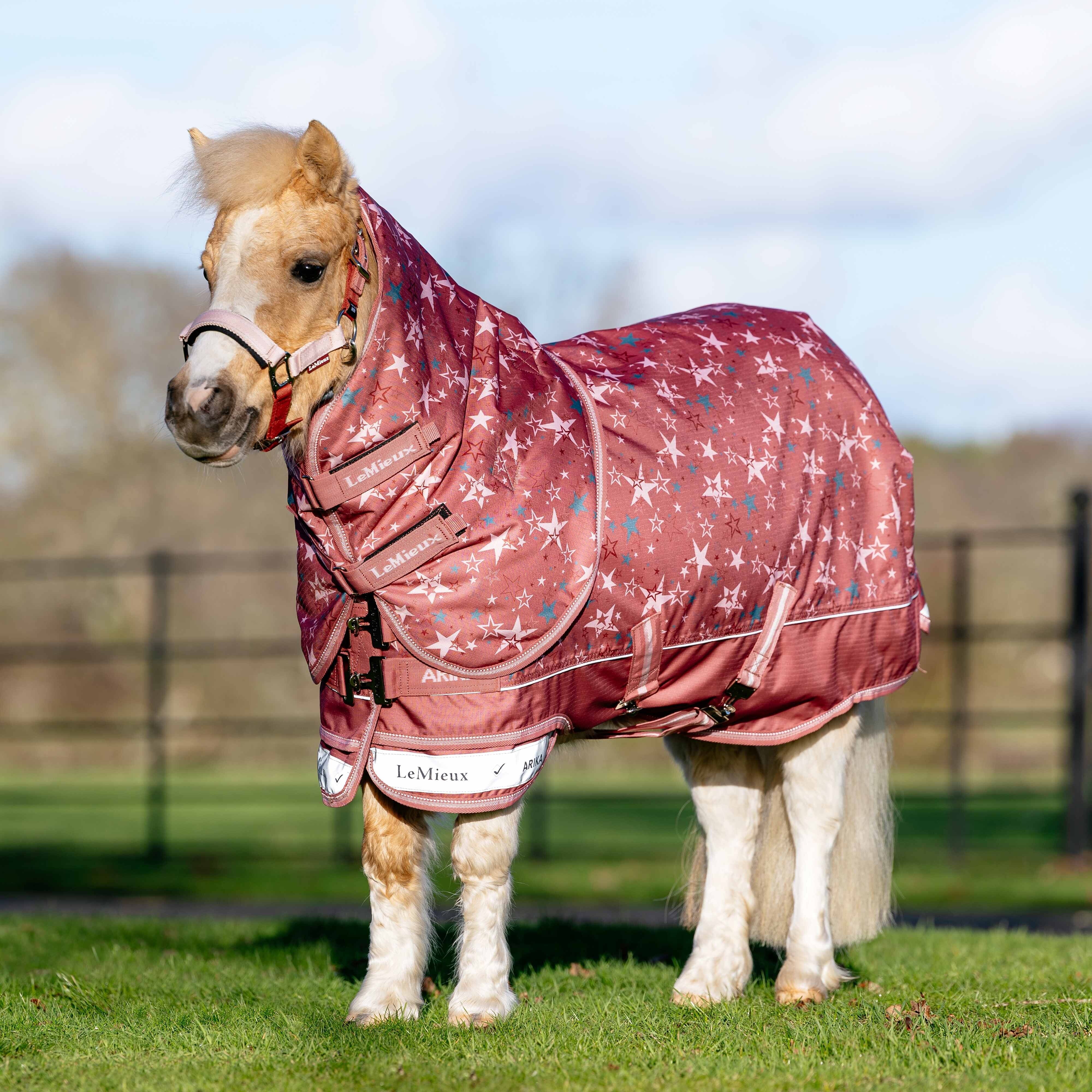 LeMieux Spiced Earth Arika Star Turnout Rug 100g| Online For Equine