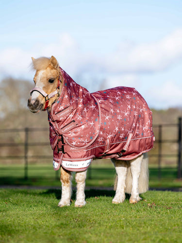 LeMieux Spiced Earth Arika Star Turnout Rug 100g| Online For Equine