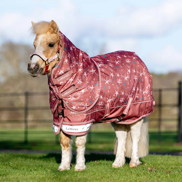 LeMieux Spiced Earth Arika Star Turnout Rug 100g| Online For Equine