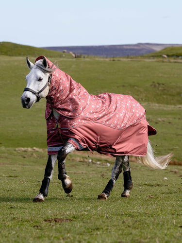 LeMieux Spiced Earth Arika Star Turnout Rug 100g| Online For Equine