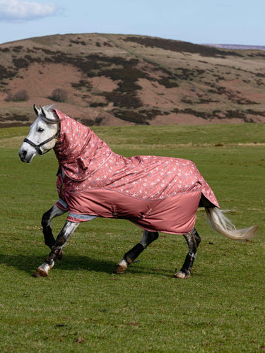LeMieux Spiced Earth Arika Star Turnout Rug 200g| Online For Equine