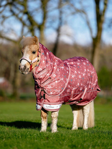 LeMieux Spiced Earth Arika Star Turnout Rug 200g| Online For Equine