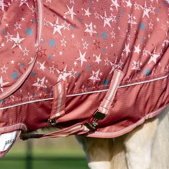 LeMieux Spiced Earth Arika Star Turnout Rug 200g| Online For Equine