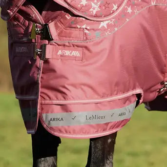 LeMieux Spiced Earth Arika Star Turnout Rug 200g| Online For Equine