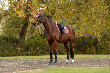 LeMieux Spiced Earth Merino+ Suede Classic Close Contact Square Spiced Earth| Online For Equine