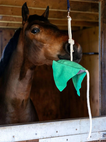 LeMieux Stingray Horse Toy