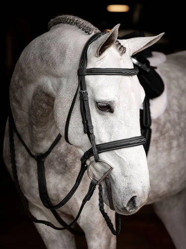 LeMieux Stitched Hunter Bridle with Laced Reins Black/Silver| Online For Equine