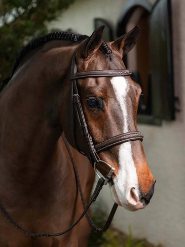 LeMieux Stitched Hunter Bridle with Laced Reins Havana/Silver| Online For Equine
