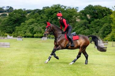 LeMieux Suede Close Contact Square Chilli| Online For Equine