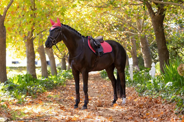 LeMieux Suede Close Contact Square Cranberry| Online For Equine