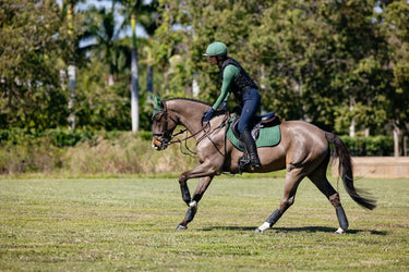 LeMieux Suede Close Contact Square Hunter Green| Online For Equine