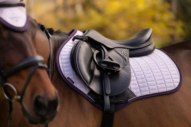 LeMieux Suede Close Contact Square Lilac| Online For Equine