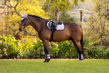 LeMieux Suede Close Contact Square Lilac| Online For Equine