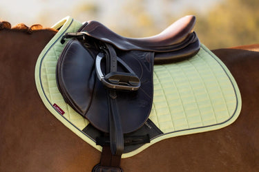 LeMieux Suede Close Contact Square Macaron| Online For Equine