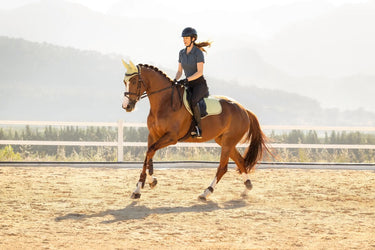 LeMieux Suede Close Contact Square Macaron| Online For Equine