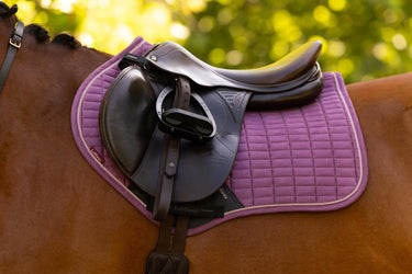 LeMieux Suede Close Contact Square Mallow| Online For Equine