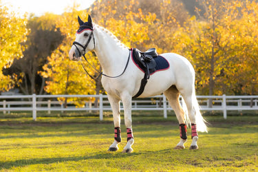 LeMieux Suede Close Contact Square Navy/Cranberry| Online For Equine