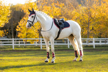 LeMieux Suede Close Contact Square Navy/Cranberry| Online For Equine