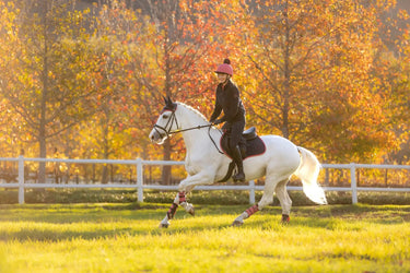LeMieux Suede Close Contact Square Navy/Cranberry| Online For Equine