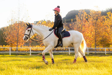 LeMieux Suede Close Contact Square Navy/Cranberry| Online For Equine