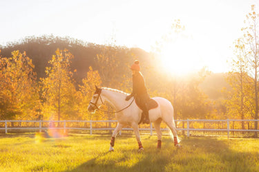 LeMieux Suede Close Contact Square Navy/Cranberry| Online For Equine