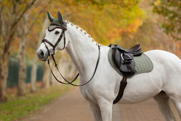 LeMieux Suede Close Contact Square Rosemary| Online For Equine