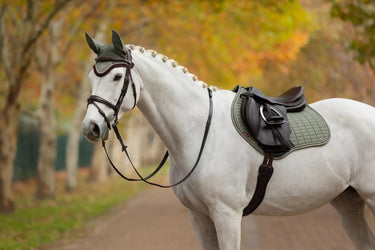 LeMieux Suede Close Contact Square Rosemary| Online For Equine