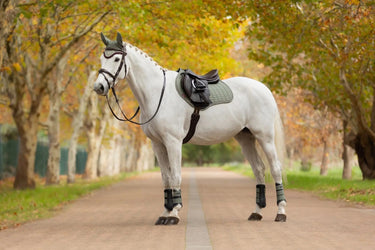 LeMieux Suede Close Contact Square Rosemary| Online For Equine