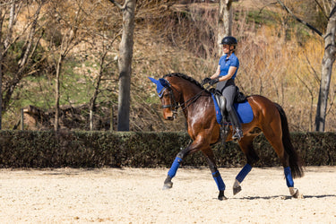 Buy LeMieux Suede Dressage Square Benetton Blue - CHECK IMAGES | Online for Equine