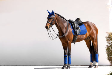 Buy LeMieux Suede Dressage Square Benetton Blue - CHECK IMAGES | Online for Equine
