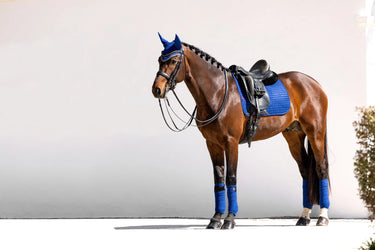 Buy LeMieux Suede Dressage Square Benetton Blue - CHECK IMAGES | Online for Equine
