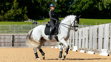 LeMieux Suede Dressage Square Black| Online For Equine