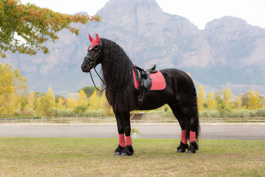 LeMieux Suede Dressage Square Cranberry| Online For Equine