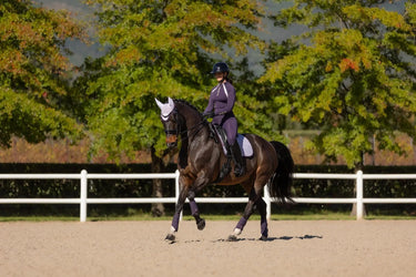 LeMieux Suede Dressage Square Lilac| Online For Equine